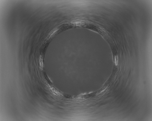 X0000058761155200510071509