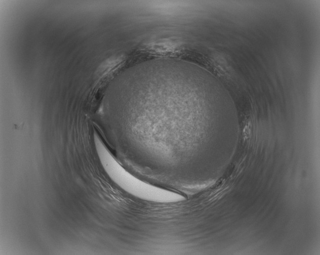 X0000058761156200510071509