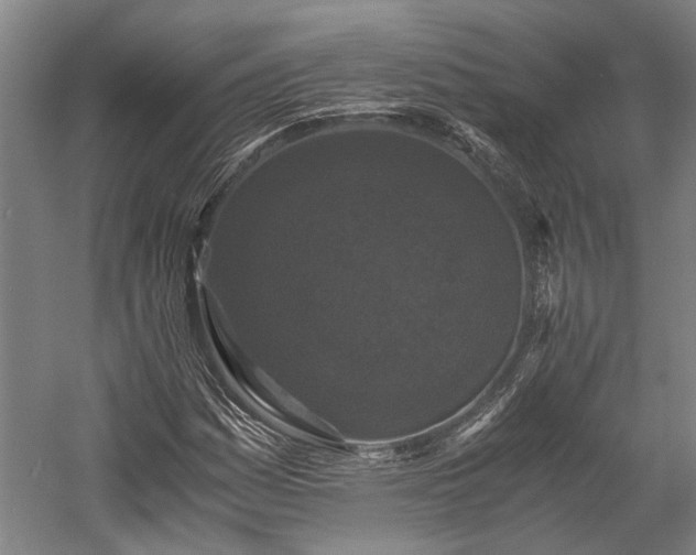 X0000058761161200510071509