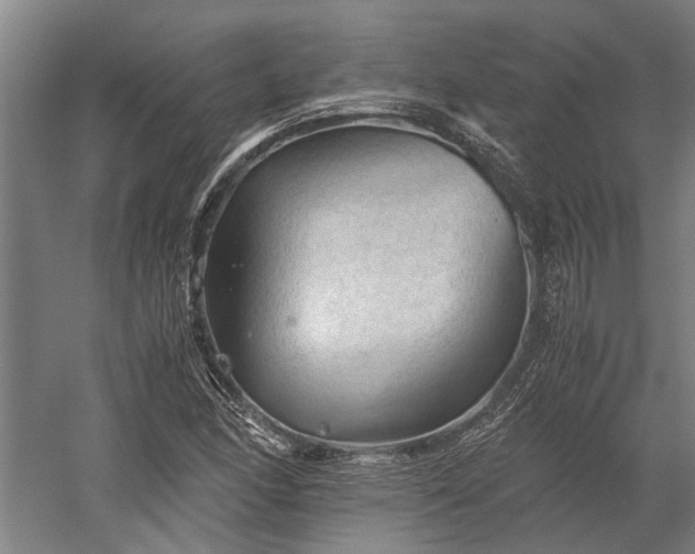 X0000058761166200510071508