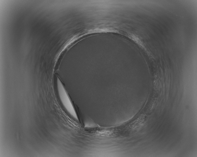 X0000058761173200510071508