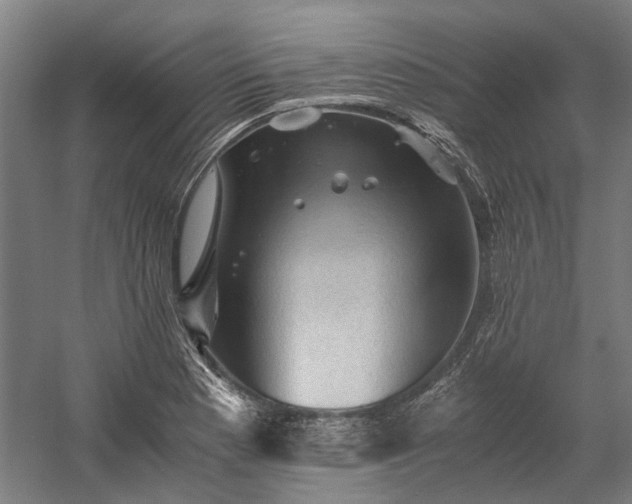 X0000058761177200510071508