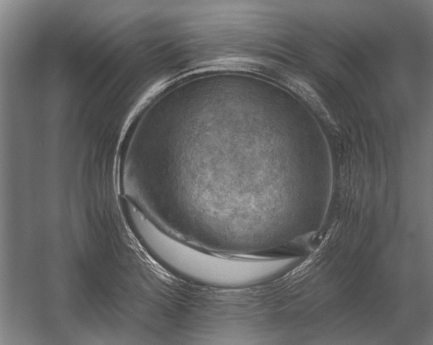 X0000058761180200510071508