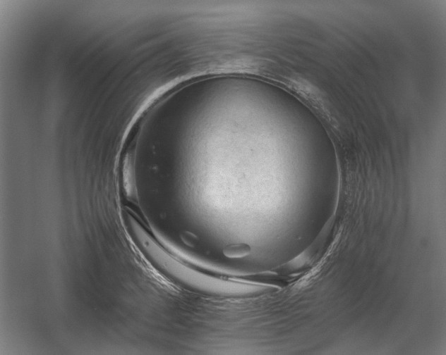 X0000058761184200510071508