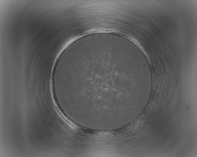 X0000058761187200510071508