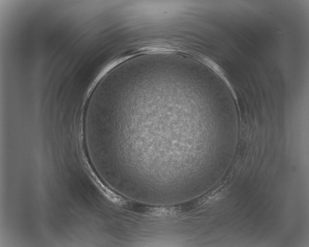 X0000058761195200510071508