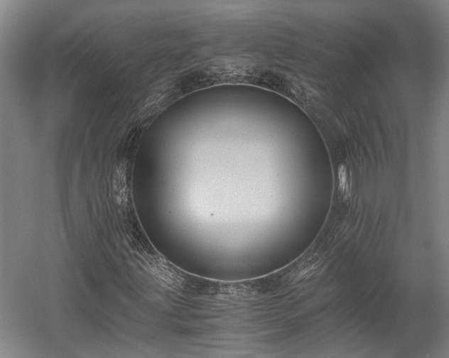 X0000058761203200510071507