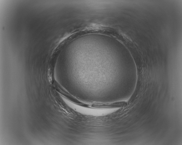 X0000058761206200510071507