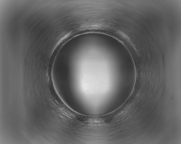 X0000058761218200510071507