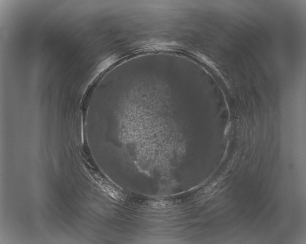 X0000058761219200510071507