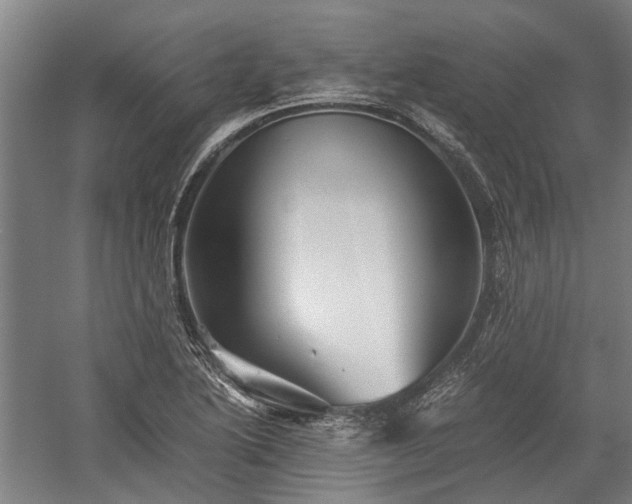 X0000058761222200510071507