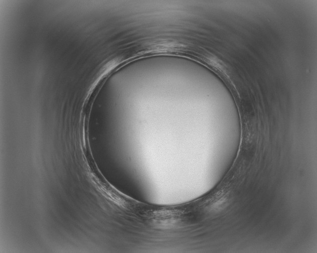 X0000058761227200510071507