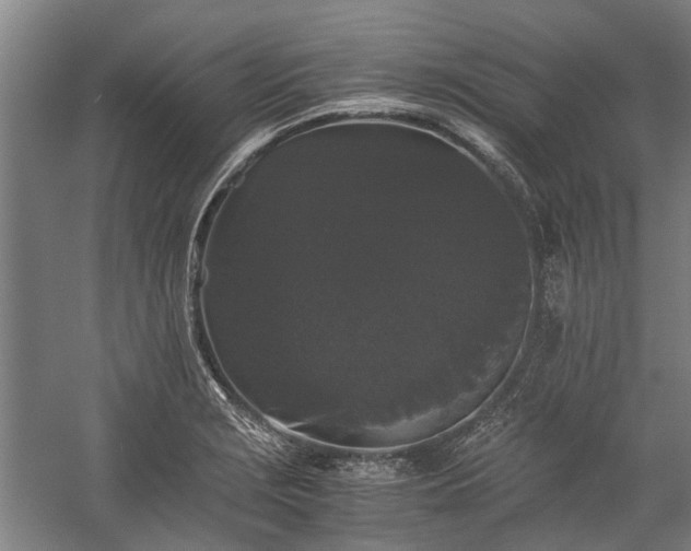 X0000058761229200510071508