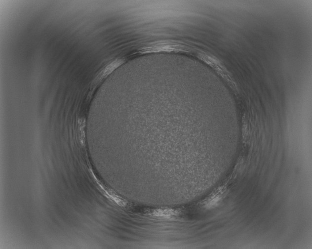 X0000058761233200510071508