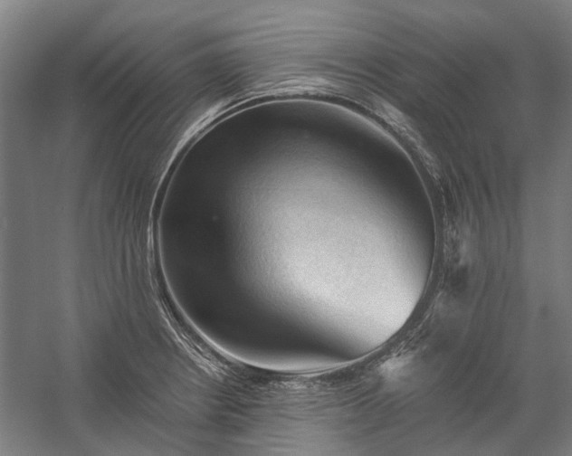 X0000058761234200510071508