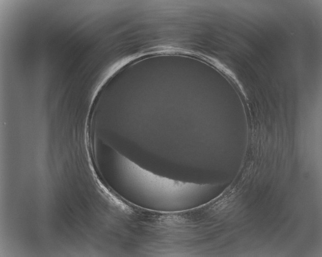 X0000058761239200510071508