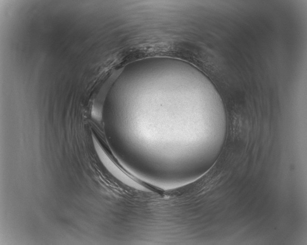 X0000058761250200510071507