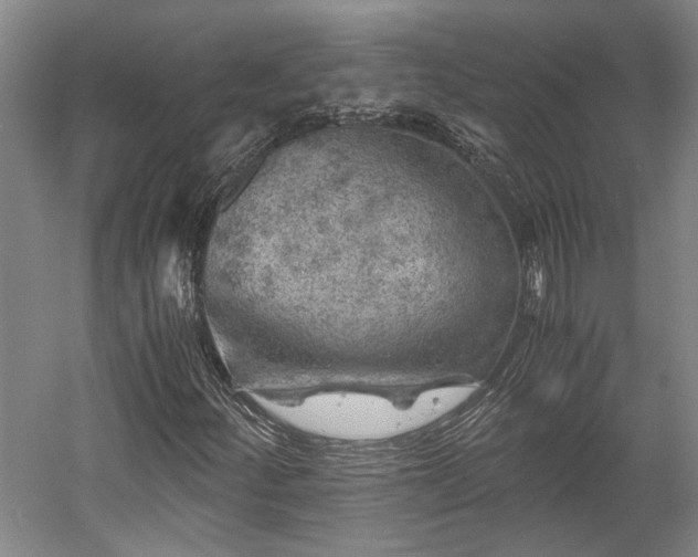 X0000058761252200510071507