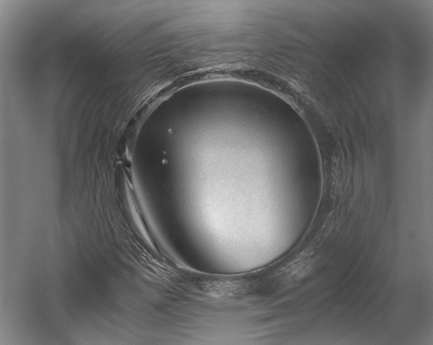 X0000058761257200510071507