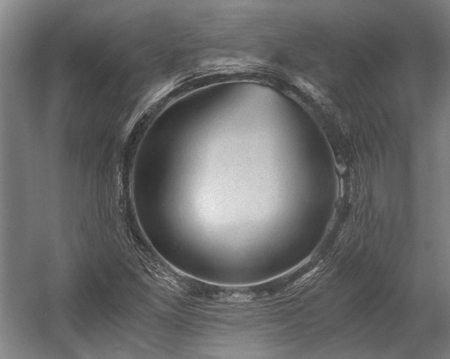X0000058761261200510071507