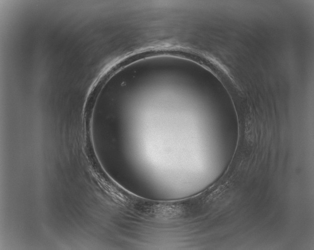 X0000058761270200510071507