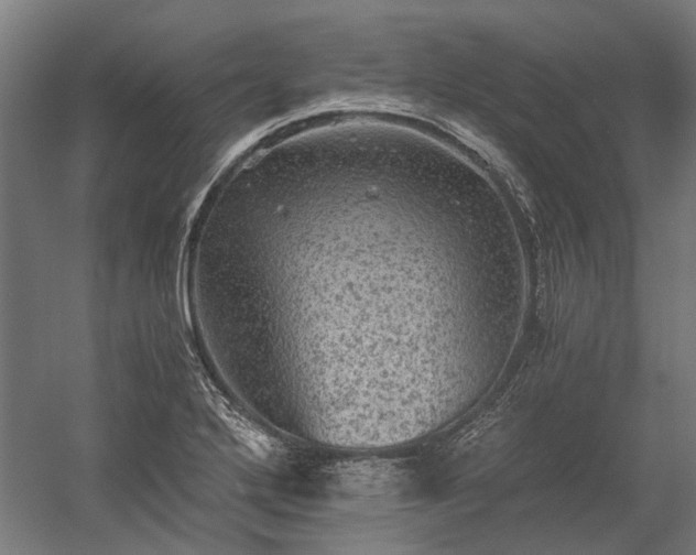 X0000058761272200510071507