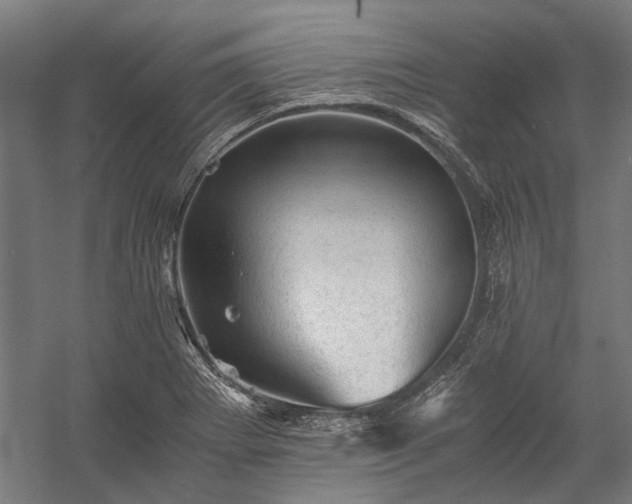 X0000058761273200510071507