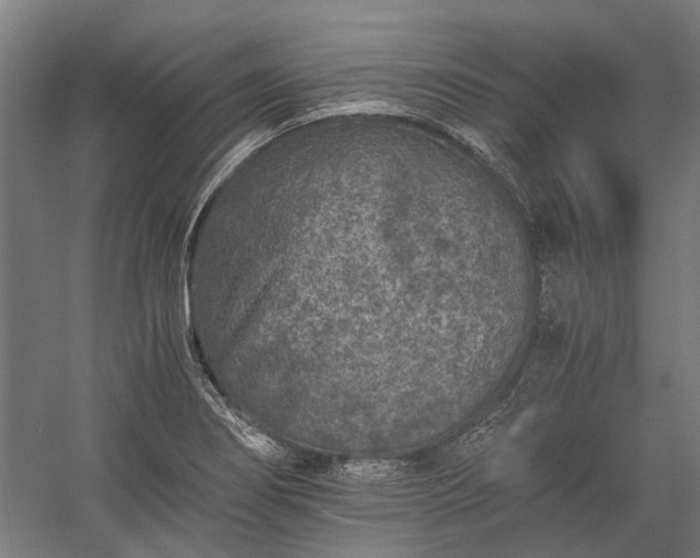 X0000058761274200510071507