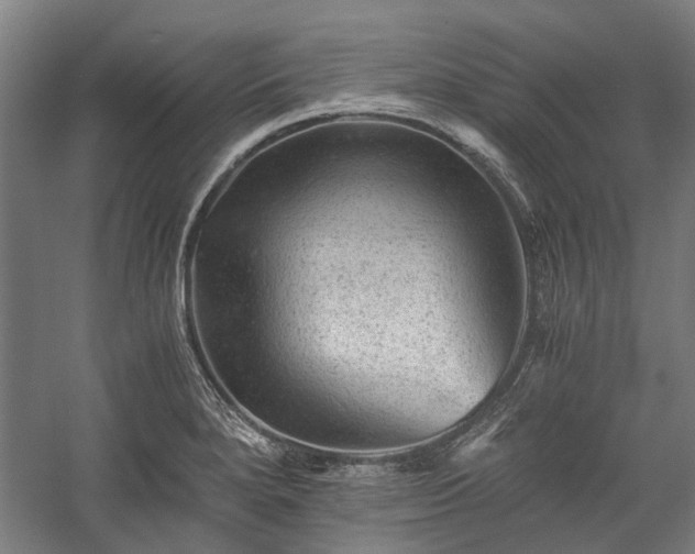 X0000058761280200510071507