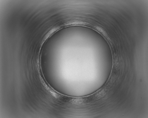 X0000058761282200510071506