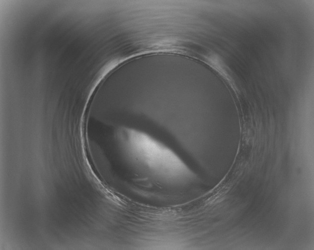 X0000058761291200510071506