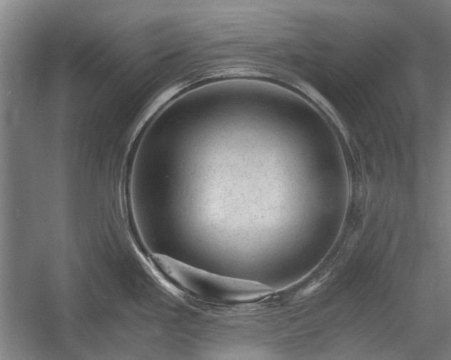 X0000058761293200510071506