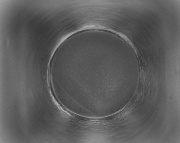 X0000058761295200510071506
