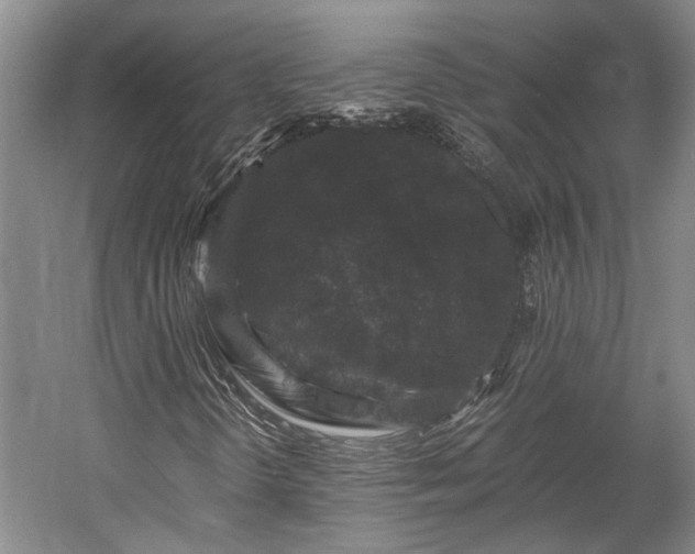 X0000058761298200510071505
