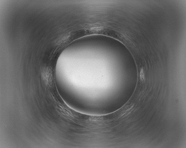 X0000058761299200510071505