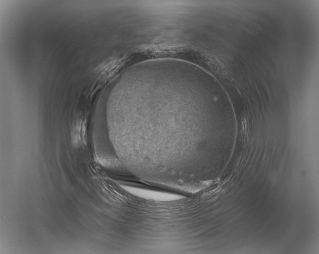 X0000058761300200510071505