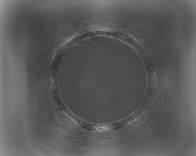 X0000058761303200510071506
