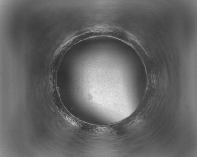 X0000058761304200510071506