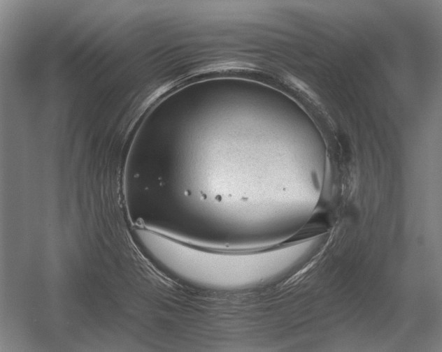 X0000058761321200510071506