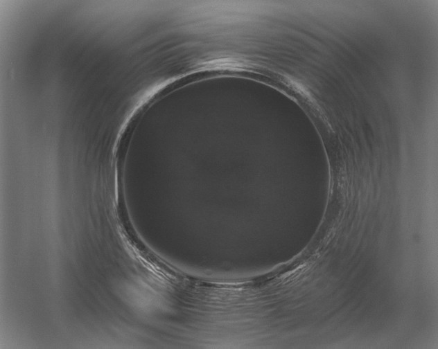 X0000058761323200510071506