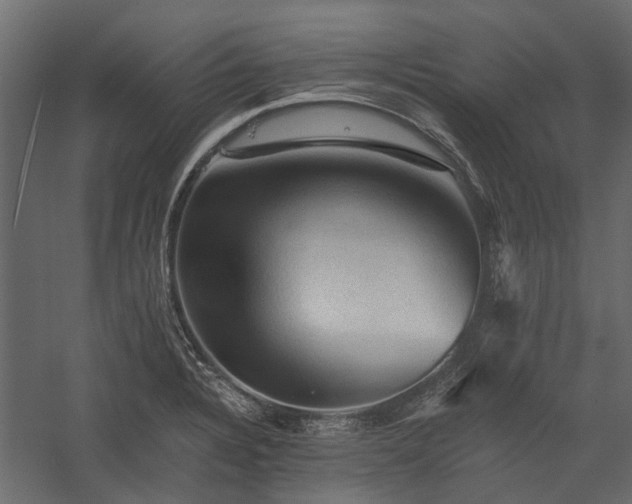 X0000058761328200510071506
