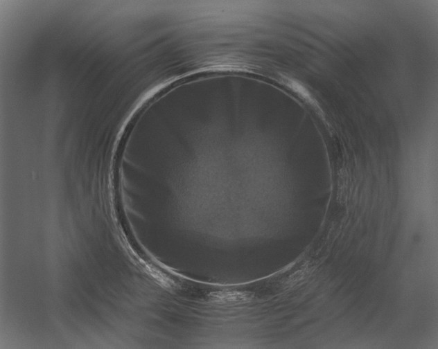 X0000058761331200510071506
