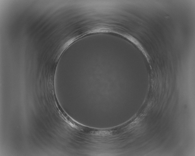 X0000058761337200510071506
