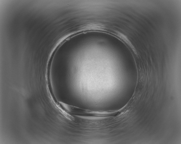 X0000058761339200510071506