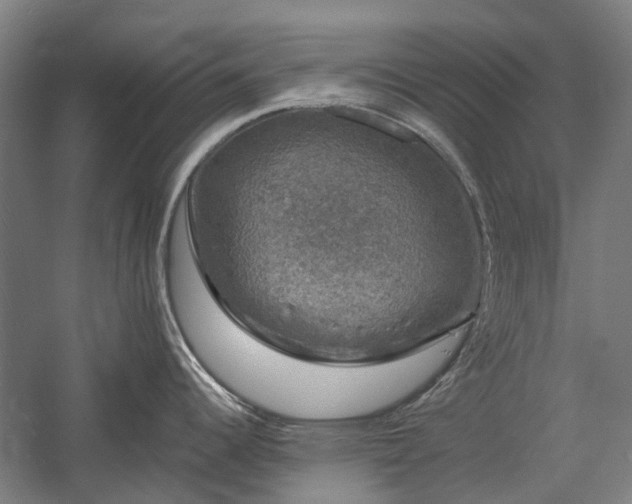 X0000058761344200510071506