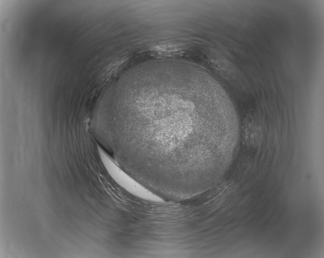 X0000058761346200510071505