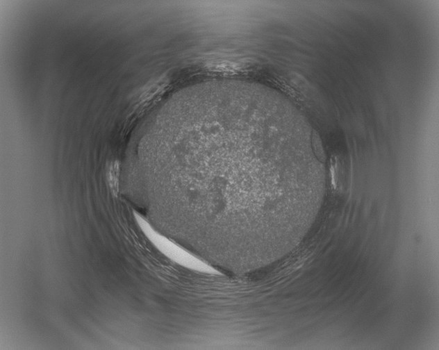 X0000058761347200510071505