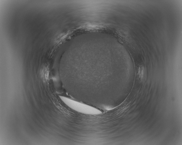 X0000058761348200510071505