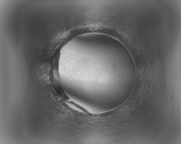 X0000058761349200510071505