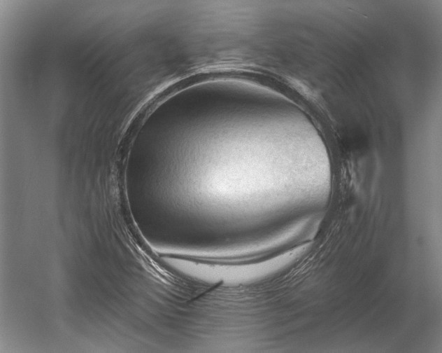 X0000058761356200510071505